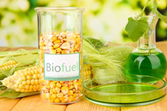 Dartmouth biofuel availability